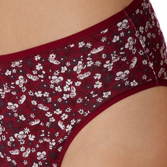 Beste recensies van π Schiesser Dames Tailleslip 6-pack 95/5 Organic Cotton π 4 Beste recensies van π Schiesser Dames Tailleslip 6-pack 95/5 Organic Cotton π - Afbeelding 2